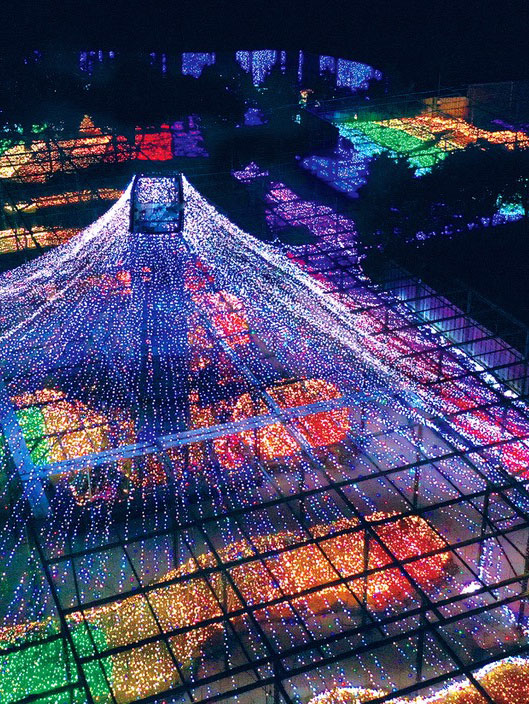 由志園 クリスマスの夜間鑑賞会